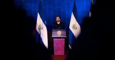 Elecciones en El Salvador: inseguridad, calidad de la democracia y desafíos económicos